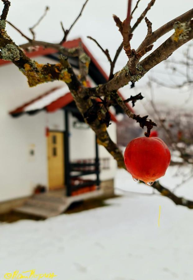 Kosta'S Romantic House Plav Zewnętrze zdjęcie