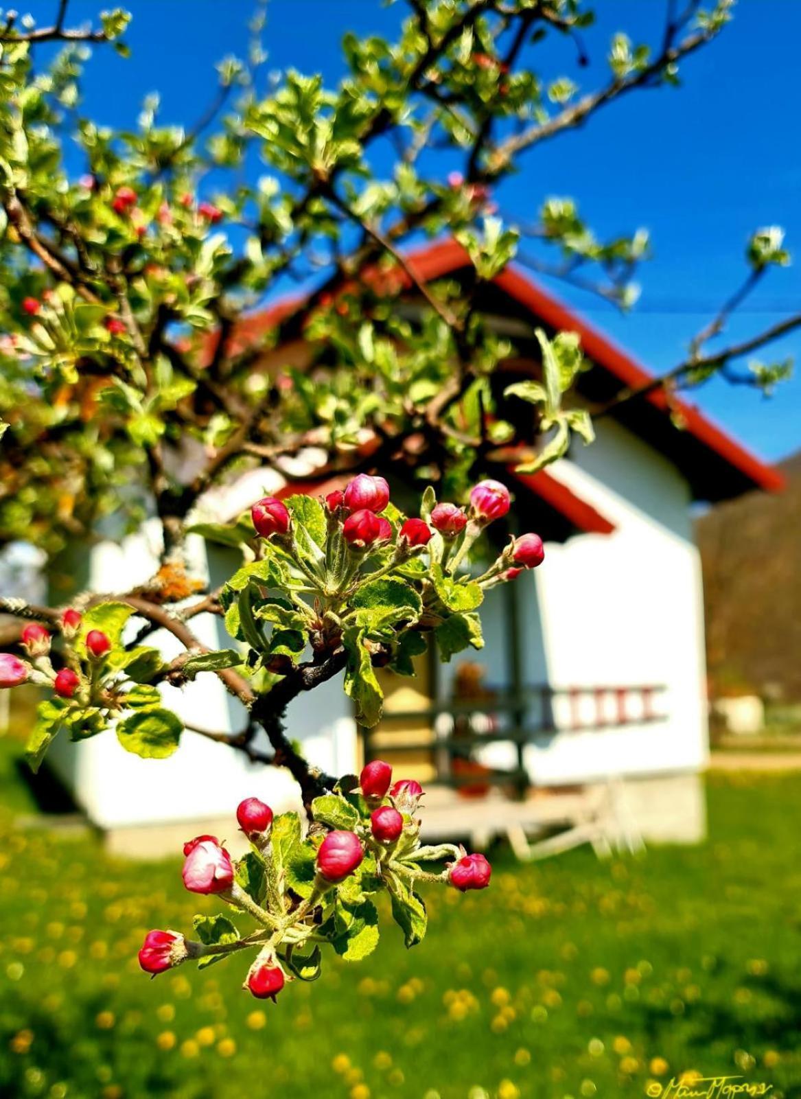 Kosta'S Romantic House Plav Pokój zdjęcie