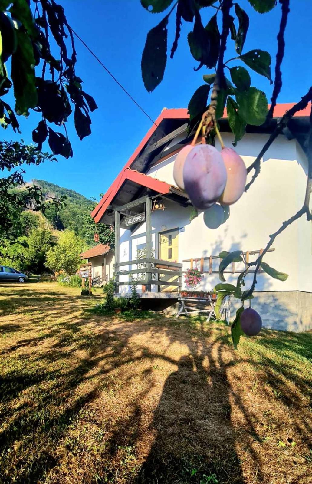 Kosta'S Romantic House Plav Zewnętrze zdjęcie